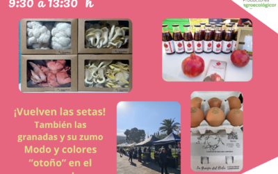 Mercado Unizar Viernes 16 Octubre, modo otoño, vuelven las setas, en el día mundial de la alimentación