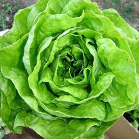 Ensalada Aragonesa