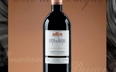 Pinchitos de Ternasco de Aragón Agridulces con reducción de su propio Jugo y vino del Campo de Borja